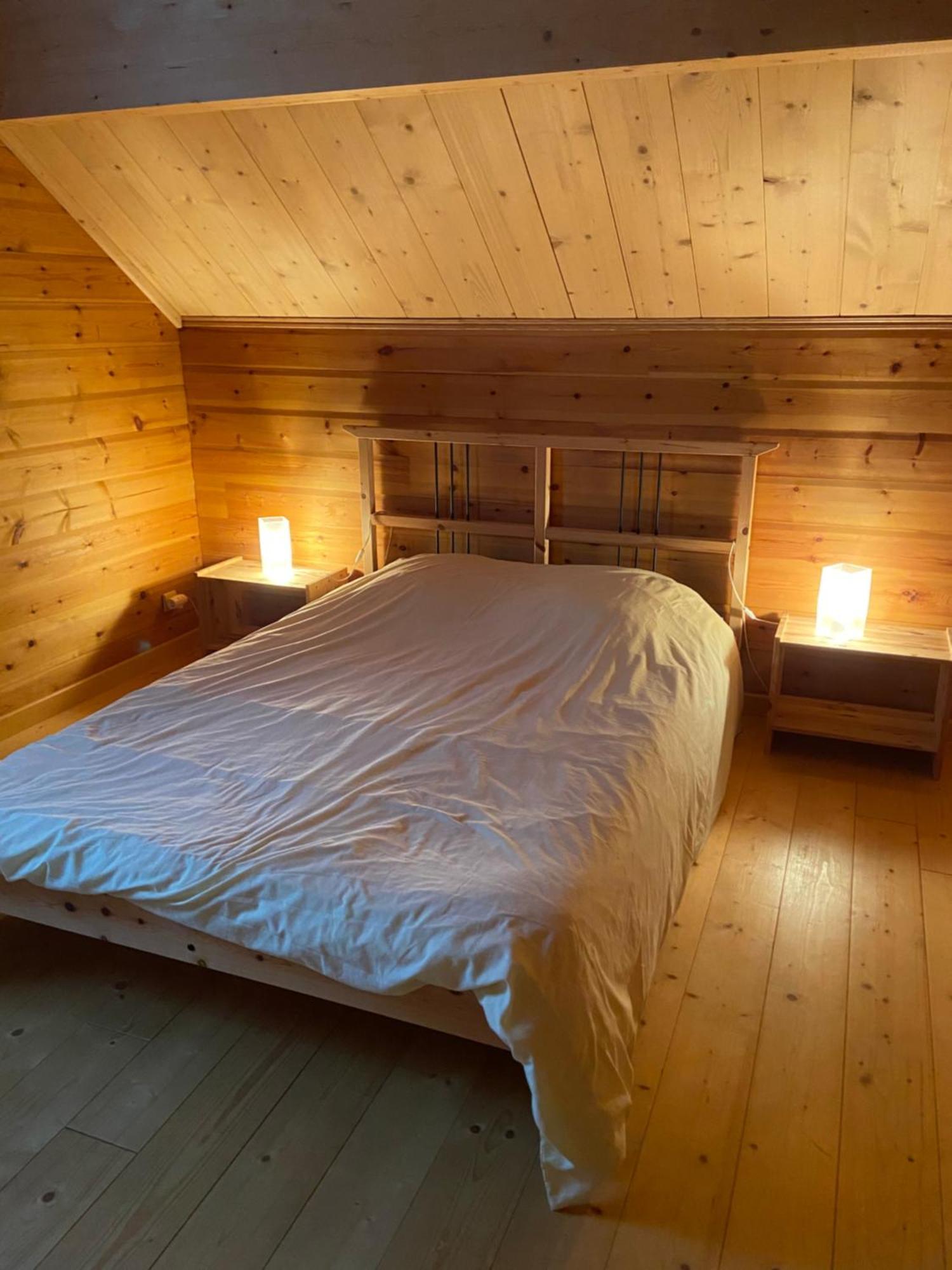 Chalet Aster 3 Etoiles Arrentès-de-Corcieux 外观 照片