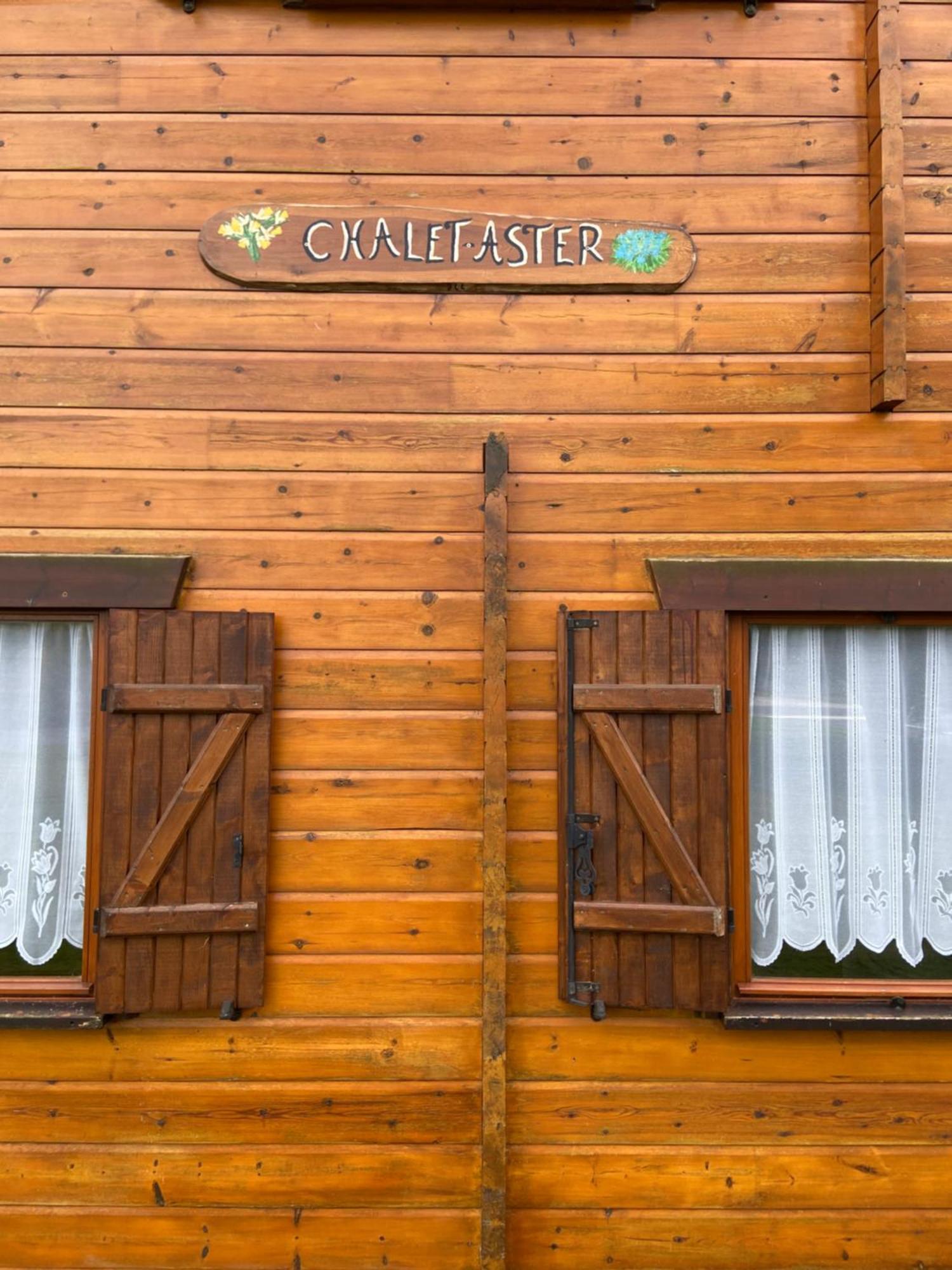 Chalet Aster 3 Etoiles Arrentès-de-Corcieux 外观 照片